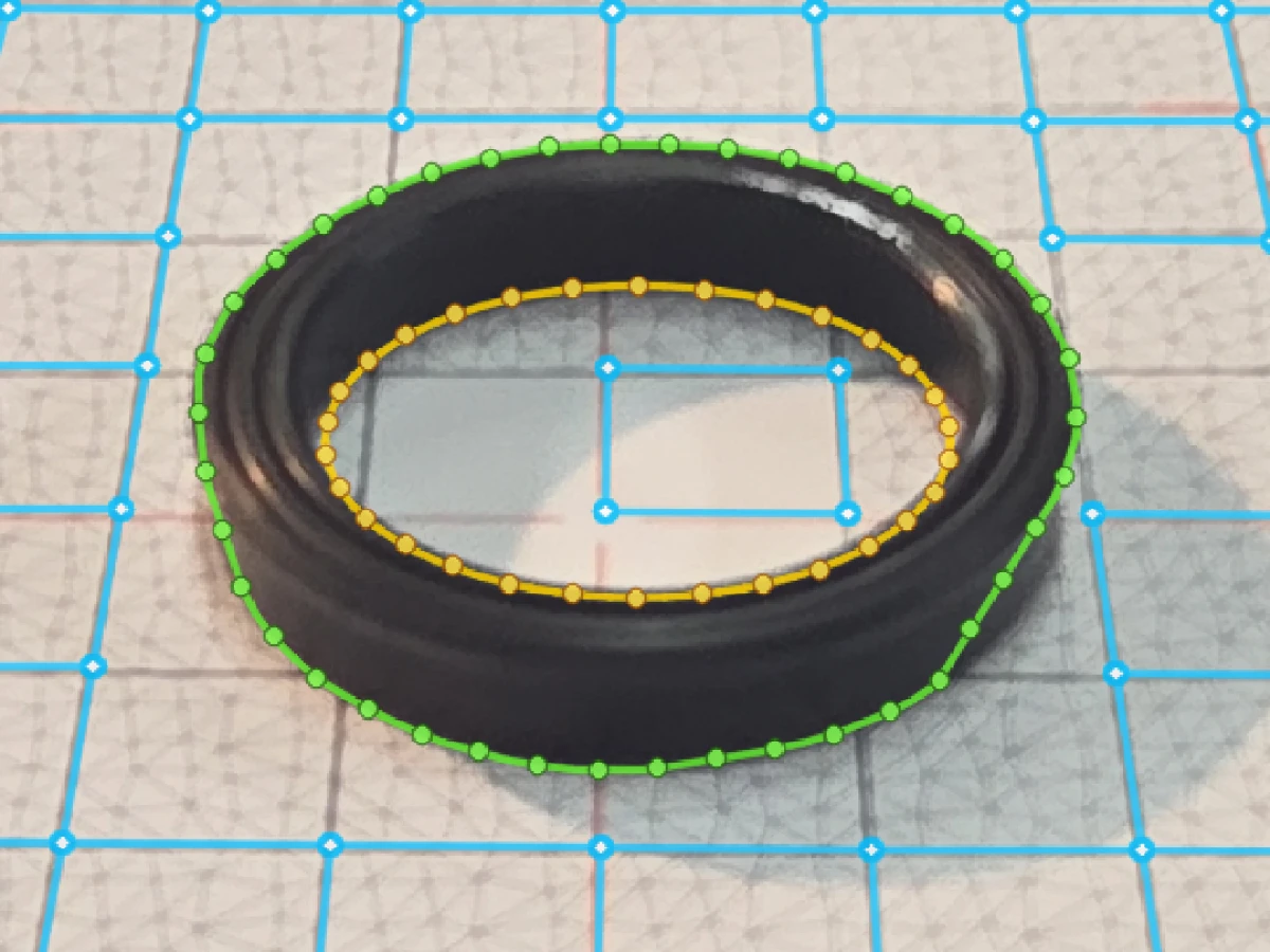Oblique capture of a loaded U-cup rod seal on an Olypsys grid with solved grid intersections and contour points